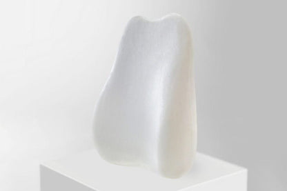 Mauzari™ Set Ergonomico di Cuscini Lombare e Seduta