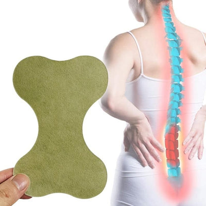 Mauzari™ Kit Naturale con Cerotti per il Mal di Schiena